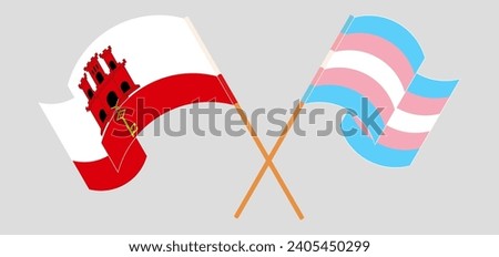 Crossed and waving flags of Gibraltar and Transgender Pride. Vector illustration

