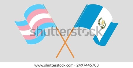 Crossed and waving flags of Transgender Pride and Republic of Guatemala. Vector illustration
