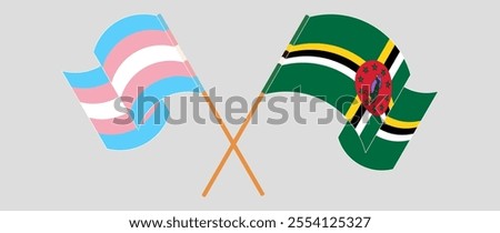 Crossed and waving flags of Transgender Pride and Dominica. Vector illustration.
