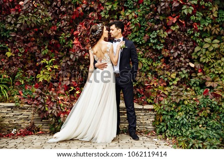 Similar – Image, Stock Photo autumn wedding Bride