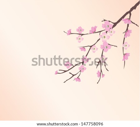 Vector Cherry Tree Branch In Blossom - 147758096 : Shutterstock