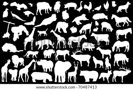 vector silhouettes of different animals wild and domestic
