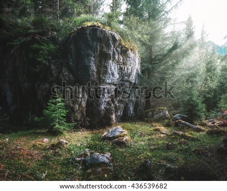 Forest near Cierny Kamen Mountain in Velka Fatra National Park, Slovakia Zdjęcia stock © 