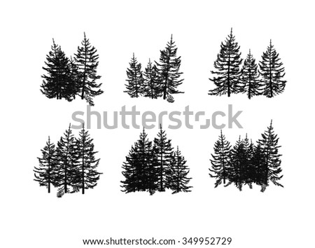 Fir-Tree Stock Photo 349952729 : Shutterstock