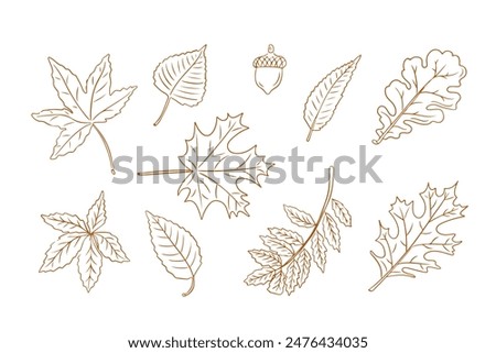 Autumn brown outline doodle set with leaves. Monochrome botanical contour stickers. Vector clipart of sketchy drawings isolated on white background