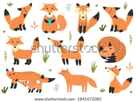 Cute collection of little foxes. Set with forest characters.  Isolated baby animal elements. Clipart great for stickers, children prints, greeting cards. Vector illustration