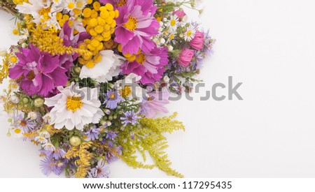 Bouquet of Wild Summer Flowers on White Background