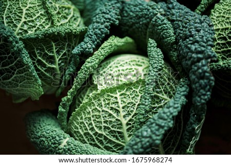 Image, Stock Photo Savoy cabbage freshly harvested on a green table.