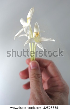 White flowers in hand