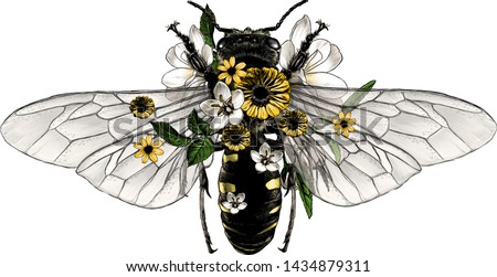 Similar – Image, Stock Photo flower with bee Summer