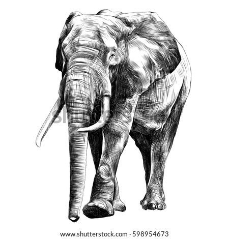 Similar – Image, Stock Photo The old elephant is alone in the Etosha pan. I wonder what he’s been through…