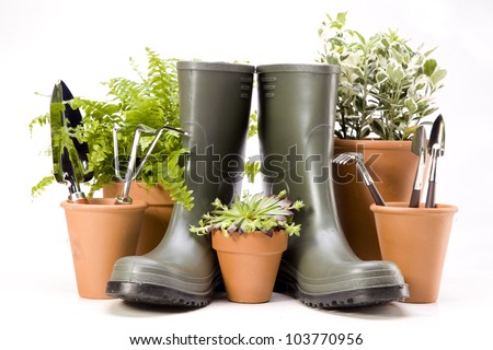 Flowers and garden tools on sky background