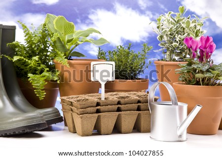 Flowers and garden tools