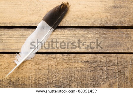 The black and white feather on the rough wood board