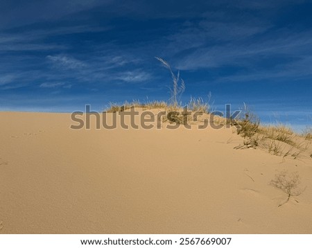 Similar – Image, Stock Photo Dune against blue sky Sand