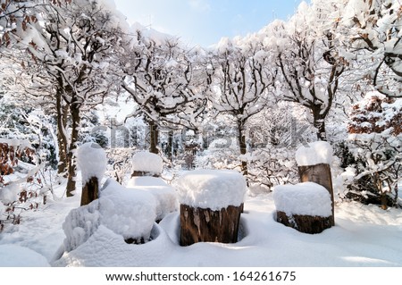 Winter in the city garden with seats covered with deep snow