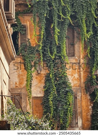 Similar – Foto Bild Efeu an der Fassade berlin