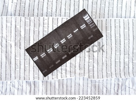 Electrophoresis picture on a crumpled DNA sequence background