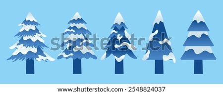 Winter Collection of Blue Pine Tree with Snow