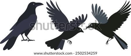 A standing crow and flying crows clipart isolated, simple flat vector illustration design.