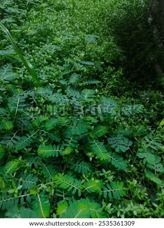 Similar – Image, Stock Photo sometimes there are no words…