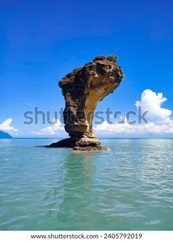 Similar – Image, Stock Photo bako national park | wonderful place in the world