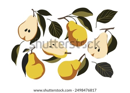 Pear fruits in Hand-drawn style set. Pear drawing of food elements for design menu, poster, label, packaging, wall art, icons vector illustration