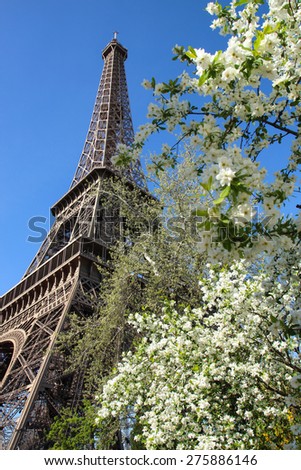 View of the gardens of the Eiffel Tower in Paris.