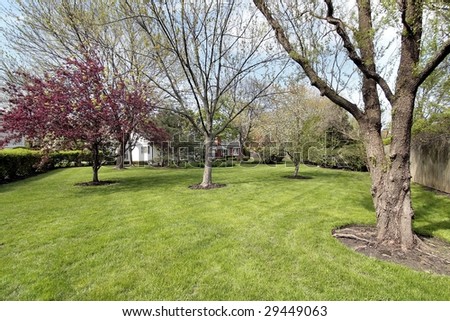 Large back yard of suburban home