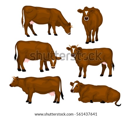 Similar – Image, Stock Photo Brown cow grazing on a meadow