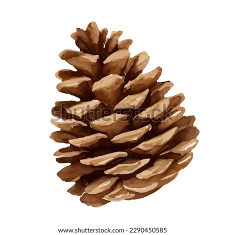 pine cone with style hand drawn digital painting illustration Foto stock © 