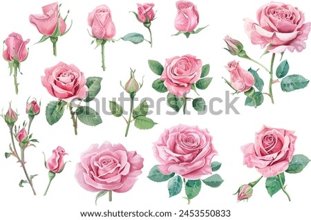 Pink Roses Clipart, Roses bouquet, Printable Watercolor clipart