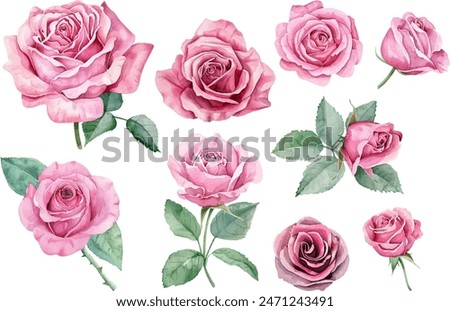 watercolor pink rose flower bouquet set for valentines day