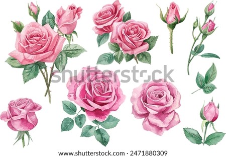 Similar – Image, Stock Photo A bouquet of pink tulips in a light turquoise vase