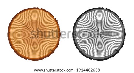 Tree trunk rings cut isolated close up vector cartoon illustration set, black and white and brown colorful wooden stump slice