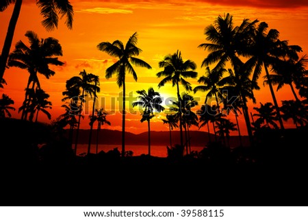 Palms silhouette opposite beautiful island in red sunset