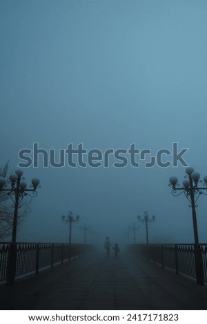 Similar – Image, Stock Photo foggy bridge with lamp arches