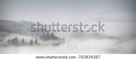 Similar – Image, Stock Photo November fog in the beech forest