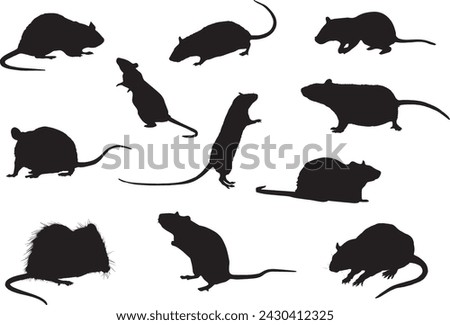 Black silhouettes of rat in different poses isolated on white background. Standing, eating, jumping, going. Wild or domestic animals. Vector realistic illustrations