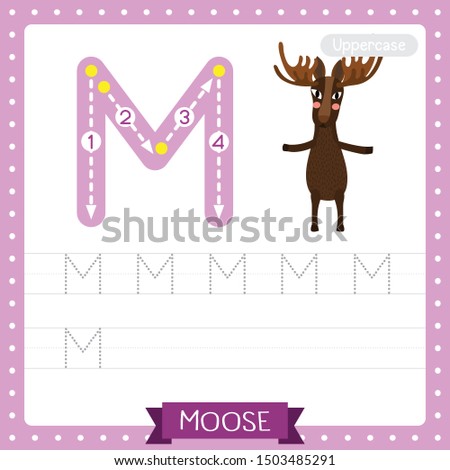 Letter M uppercase cute children colorful zoo and animals ABC alphabet tracing practice worksheet of Moose standing on two legs for kids learning English vocabulary and handwriting vector illustration Stock fotó © 