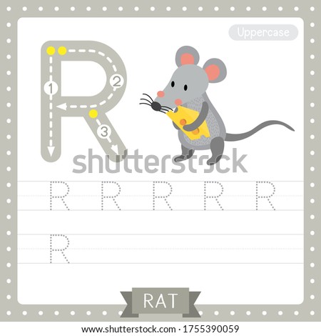 Letter R uppercase cute children colorful zoo and animals ABC alphabet tracing practice worksheet of Rat holding cheese for kids learning English vocabulary and handwriting vector illustration. Stock fotó © 