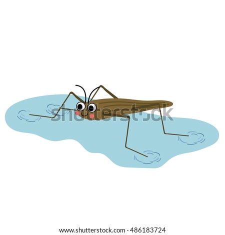 Pond Skater walking on water animal cartoon character isolated on white background.