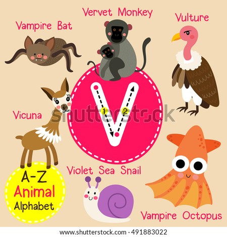 Cute Children Zoo Alphabet V Letter Tracing Of Funny Animal Cartoon For ...