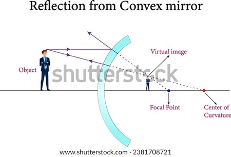 The reflection from convex mirror ,Reflection and spherical mirrors , optics.Vector illustration.