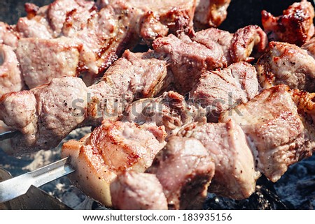 Shashlik barbecue prepared on a vine wood coal. Focus on the right middle of the frame