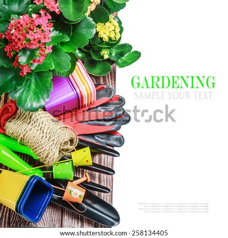 Gardening tools on a white background isolated. text is an example and removed easily