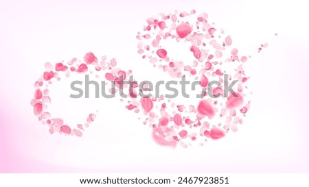 Delicate pink swirl of rose petals. Realistic spiral wind flow with flower petals. Aroma of cherry blossoms. Background for gift wrapping or cards for women's day, Valentin Day, birthday or wedding. 