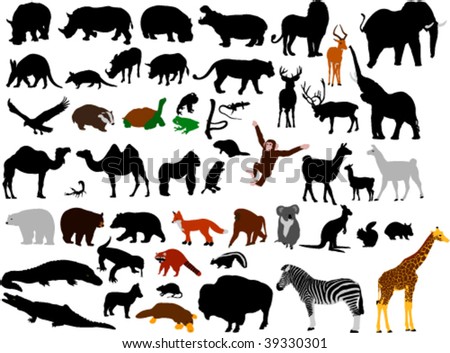 Collection Of Wild Animals Vector Silhouettes - 39330301 : Shutterstock