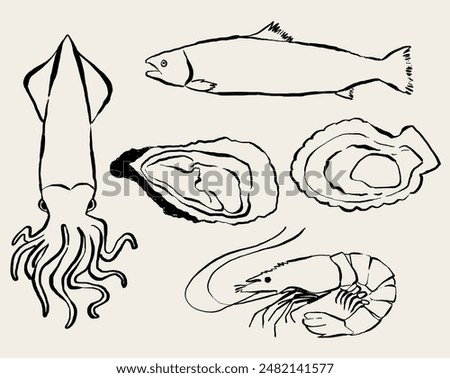 Hand drawn sea animals. Illustration of marine animals. Animals clipart for sea food squid, Salmon, Scallop shell, Shrimp, Oyster