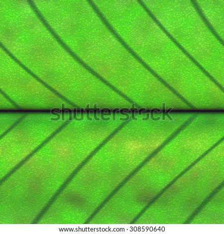 Horizontal seamless  pattern of  leaf structure